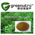 Aiye Leaf Extract/Folium Artemisiae Argyi extract